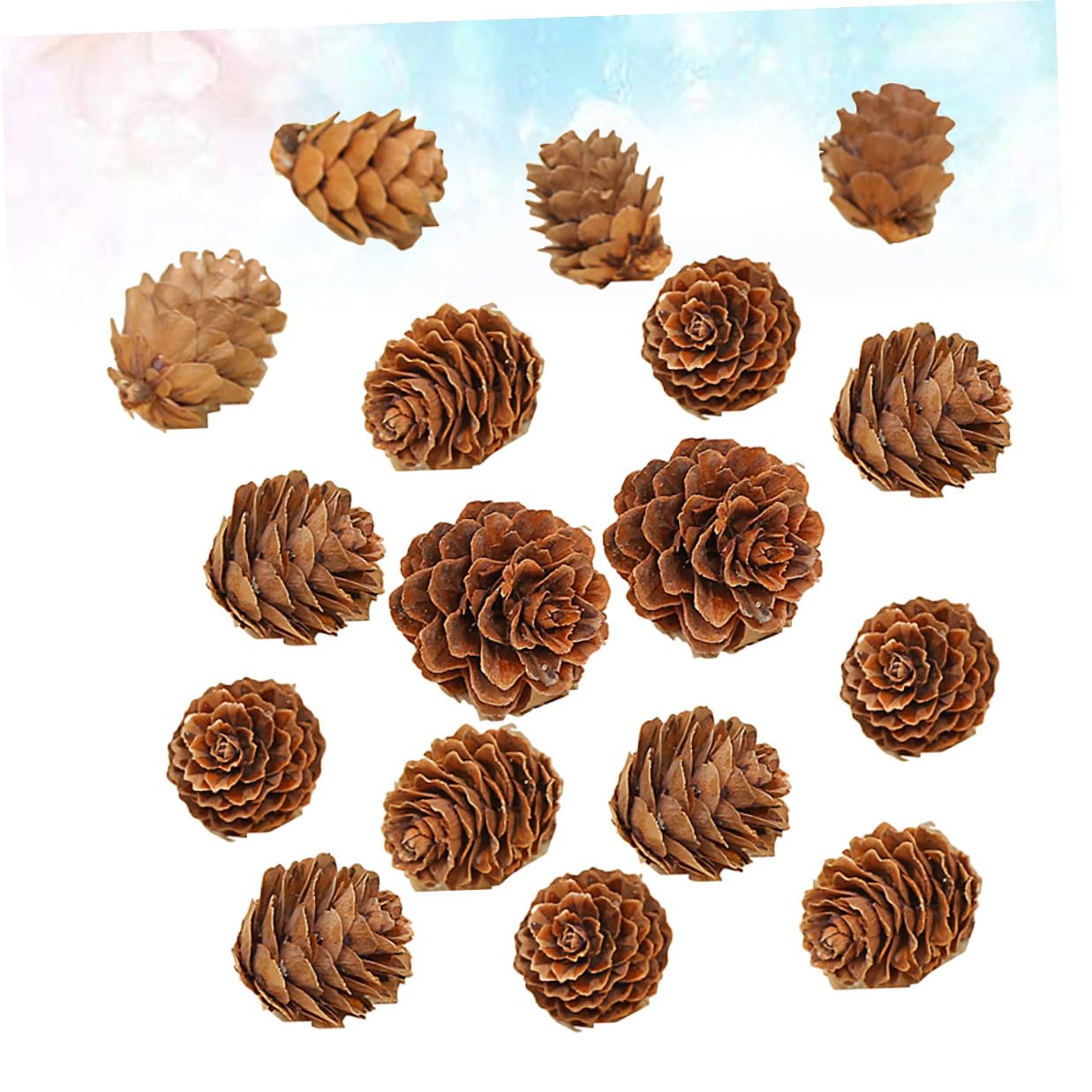 Veemoon 210 Pezzi Pigne di Pino Naturali 2-3 Cm per Decorazioni Natalizie del Ringraziamento, Ornamentali in Plastica per Arti e Lavori Manuali in Casa