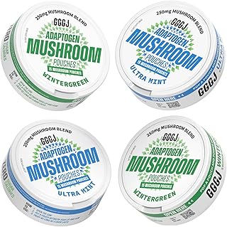 Adaptogen Mushroom Nootropic Pouches (4 Pack Bundle) - 250mg Mushroom Blend + 165mg Energy Blend, Nicotine Free & Caffeine Free, Ultra Pouch with Lion's Mane, Cordyceps, Reishi, Alpha-GPC, L-Theanine