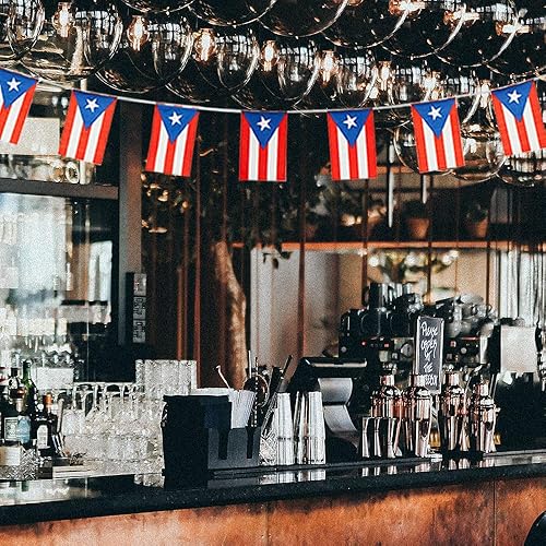 Miniatura 166 de Bandera de Argentina pequeña mini bandera argentina decoración para desfiles, fiestas, aulas, jardines y festivales (Argentina)