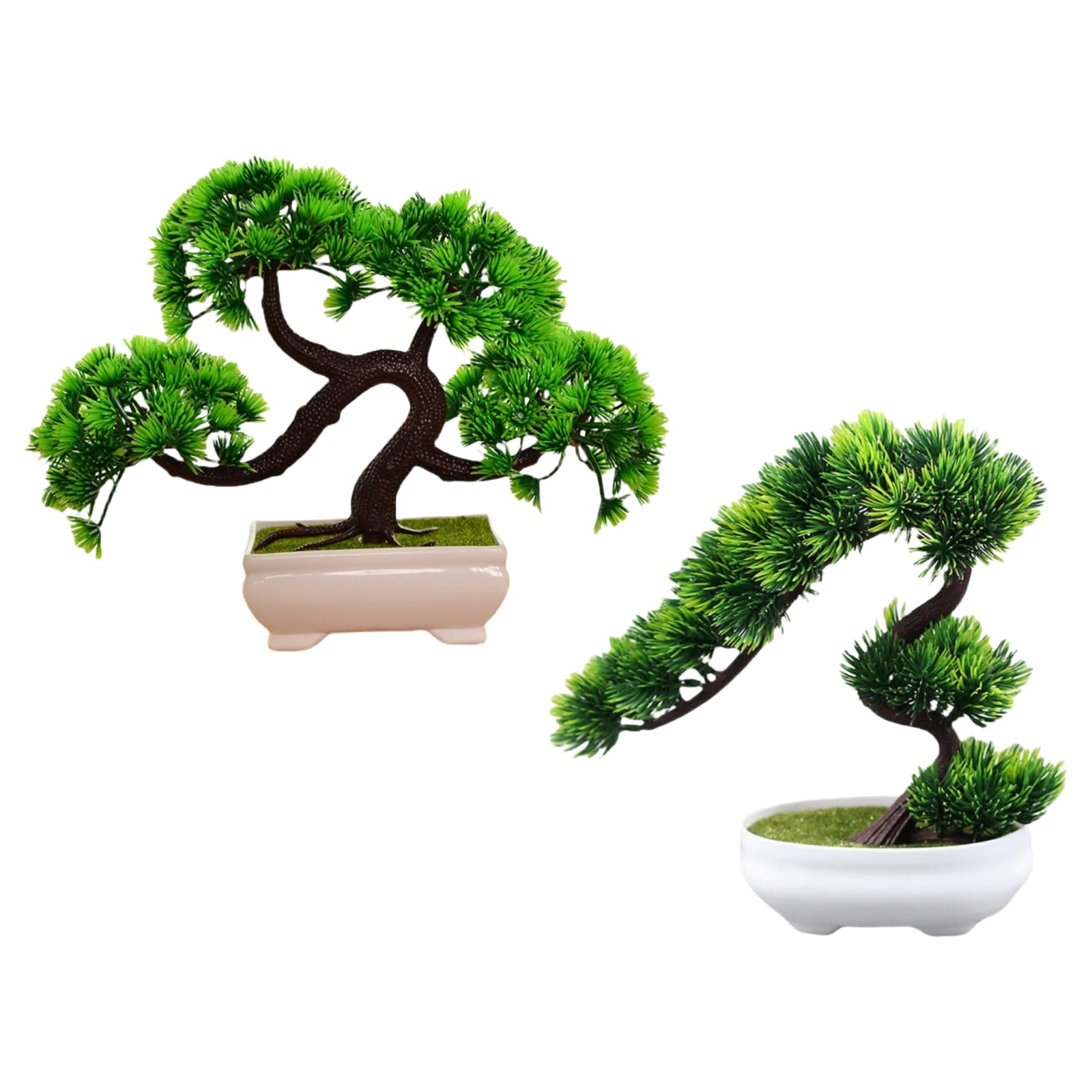 Plantes d'Intérieur Pin Vert en Pot pour Décoration de Salon et Bureau