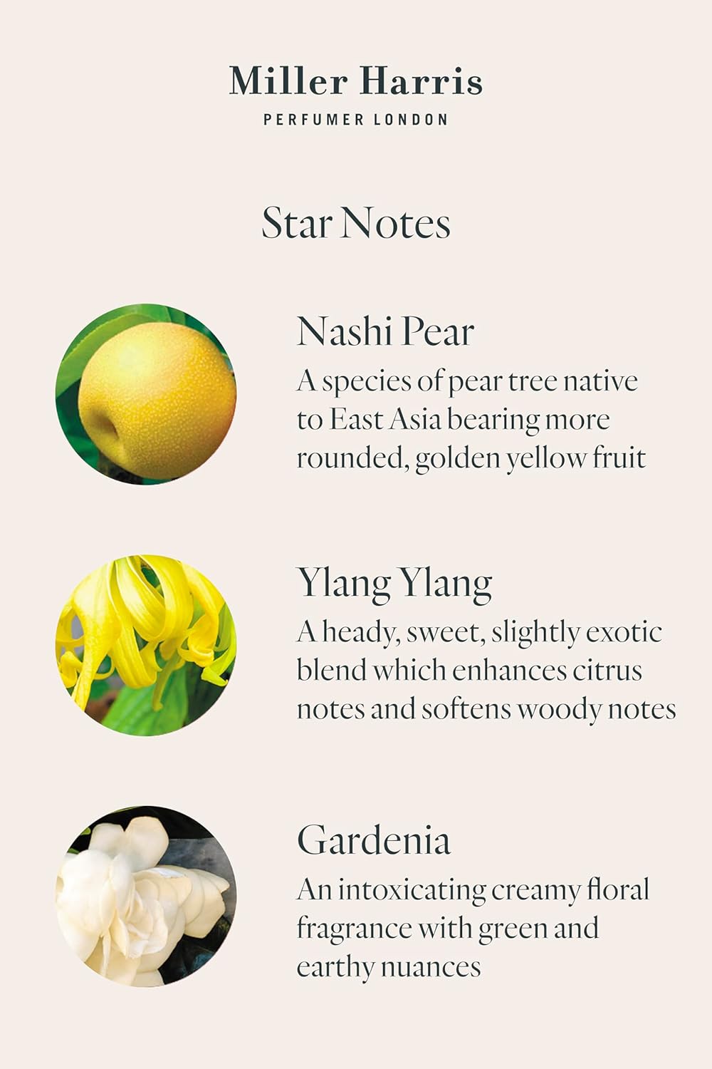 Secret Gardenia 50ml 1.7oz