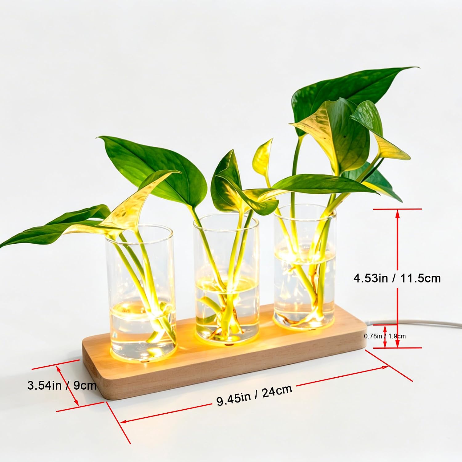3 Pcs Plant Propagation Terrarium with Wooden Stand image 3