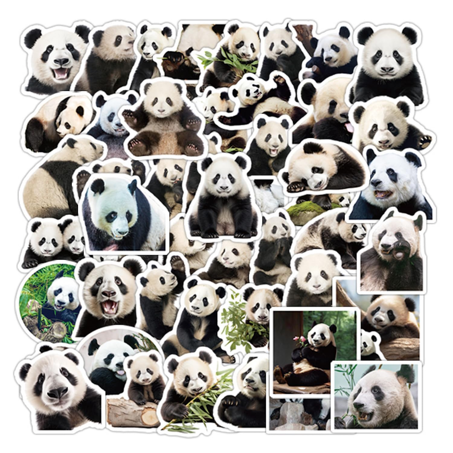 50 PCS Lovely Panda Stickers Waterproof Laser Stickers Car Laptop Stickers Motorcycle Bicycle Luggage Decal Graffiti for Teens (Panda)