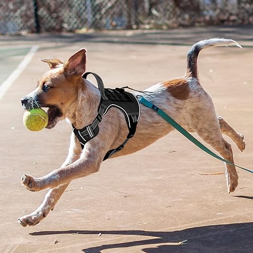 CBBPET Arnés táctico para perro sin tirones, arnés militar reflectante para perro, chaleco táctico para perro con asa molle y resistente, clip de