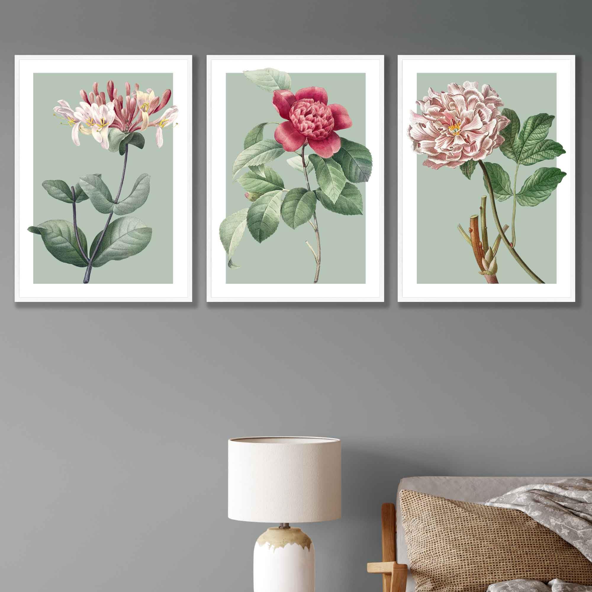 Artze Sage Green Set Of 3 Vintage Flowers Wall Art Prints Only Size: (A4-21 X 29.7 Cm)