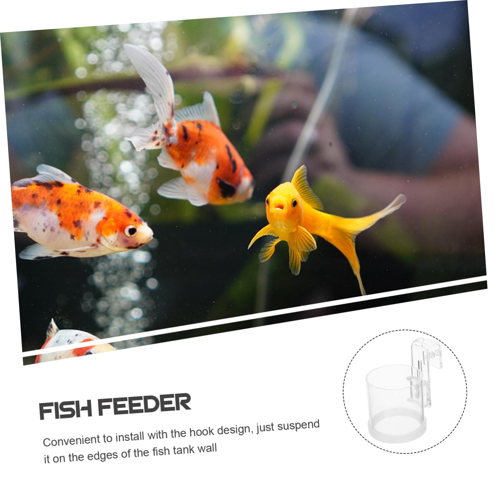 Kisangel 4piezas Alimentador De Peces Acuario Acrílico Anillo De Alimentación Flotante para Comida Escamas para Peces De Agua Dulce Decoración Práctica y Funcional para Tu Acuario