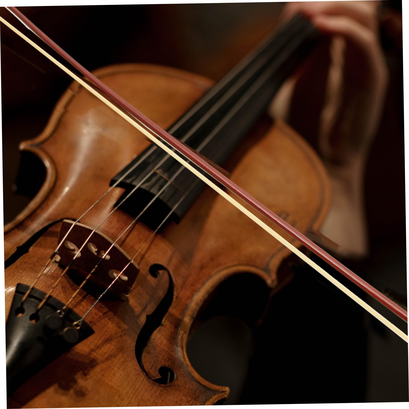 Archet de Violon en Bois Crin de Cheval Bien Équilibré, Transmet les Vibrations des Cordes, pour Étudiants et Joueurs Professionnels