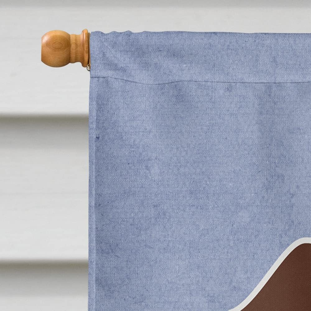 Caroline's Treasures BB5710CHF Wire Haired Dachshund Chocolate Welcome House Flag Large Porch Sleeve Pole Decorative Outside Yard Banner Artwork Wall Hanging, Polyester, House Size, Multicolor
