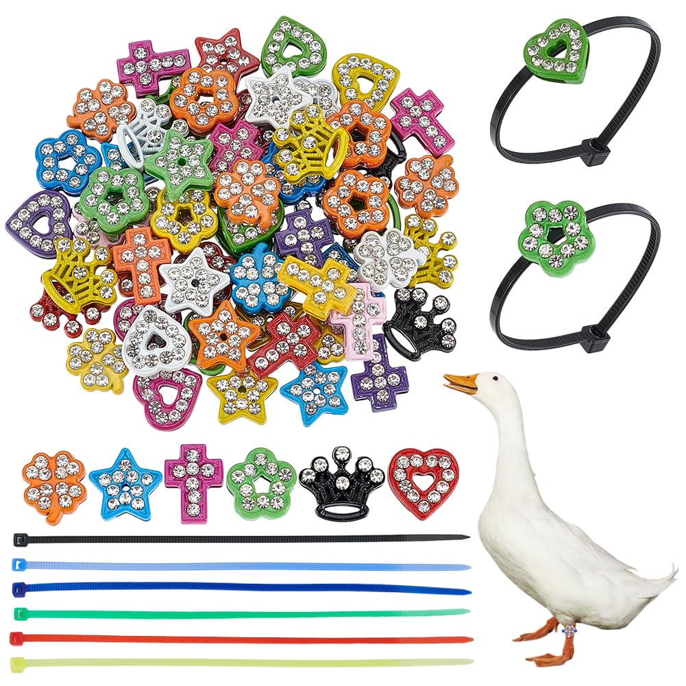 WADORN 60 paire Bandes pour Cuisses de Poulet, 6 style Breloques Colorées Poulet Volaille Bracelets D'Identification Réglables Étiquettes Pattes de Canard pour Canards Perroquets Oies Dindes Pigeons