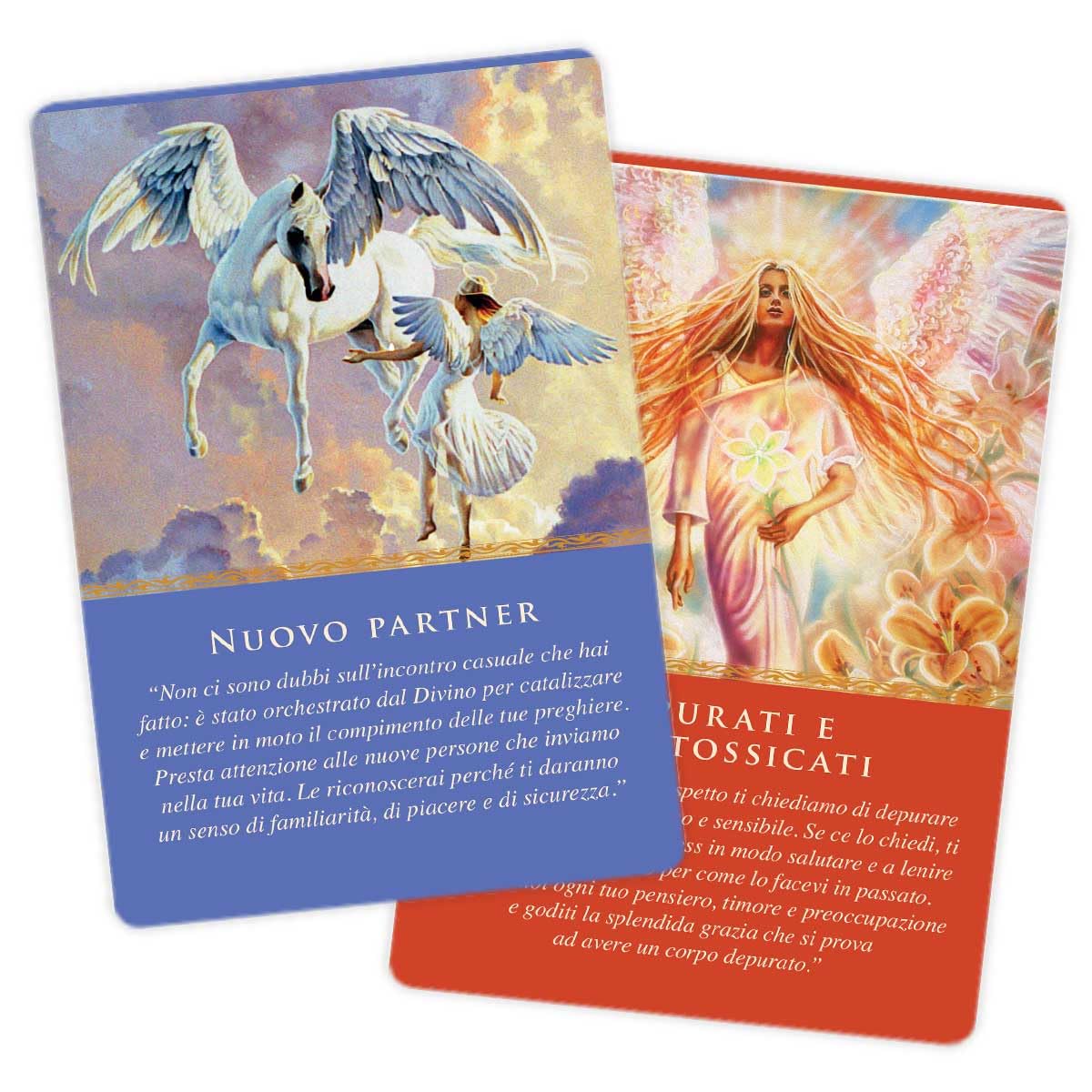 Guida Quotidiana degli Angeli 44 Carte con Guida