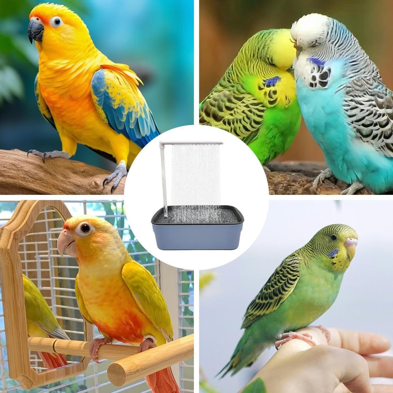 Parrot Automatyczna wanna, wanna papuska Ptakowa woda w wodzie Automatyczna | Wygodna cicha zabawka kąpielowa basenu dla przyjaciół FamiliesLovers