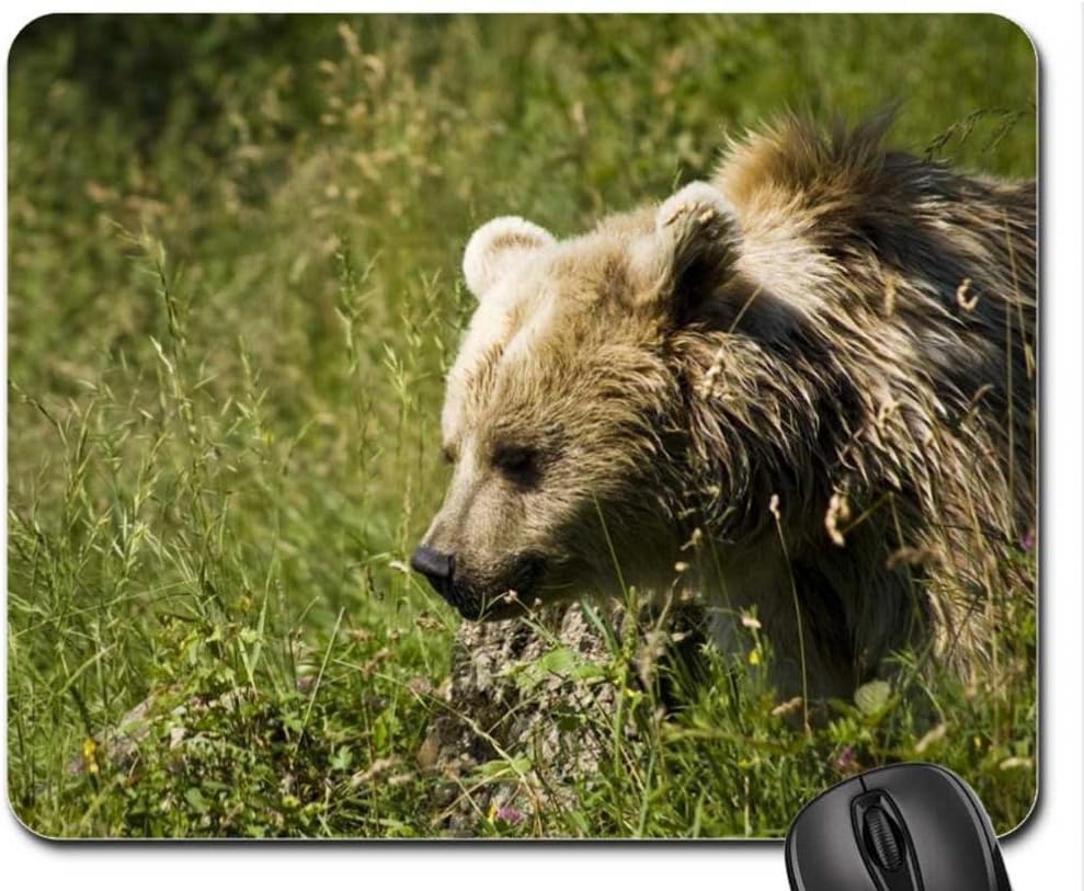 URSO PARDO Mouse Pad, Mousepad (Bears Mouse Pad)