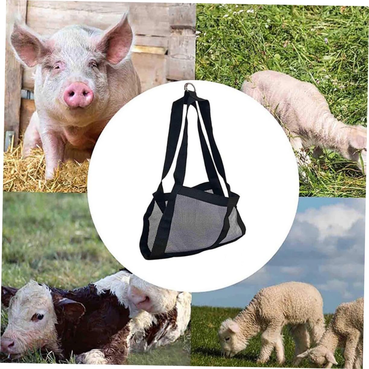 Yardwe Verstellbarer Wiegegurt für Nutztiere aus Nylon Sicheres Hängen und Wiegen von Ziegen und Alpakas Verhindert Fallen Beim Wiegen dem Bauernhof