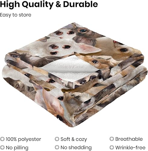 Miniatura 3 de Chihuahua Lovers Dog Gifts - Manta de forro polar con estampado de chihuahua, regalo para mamá chihuahua, dueño de perro, manta para cachorros
