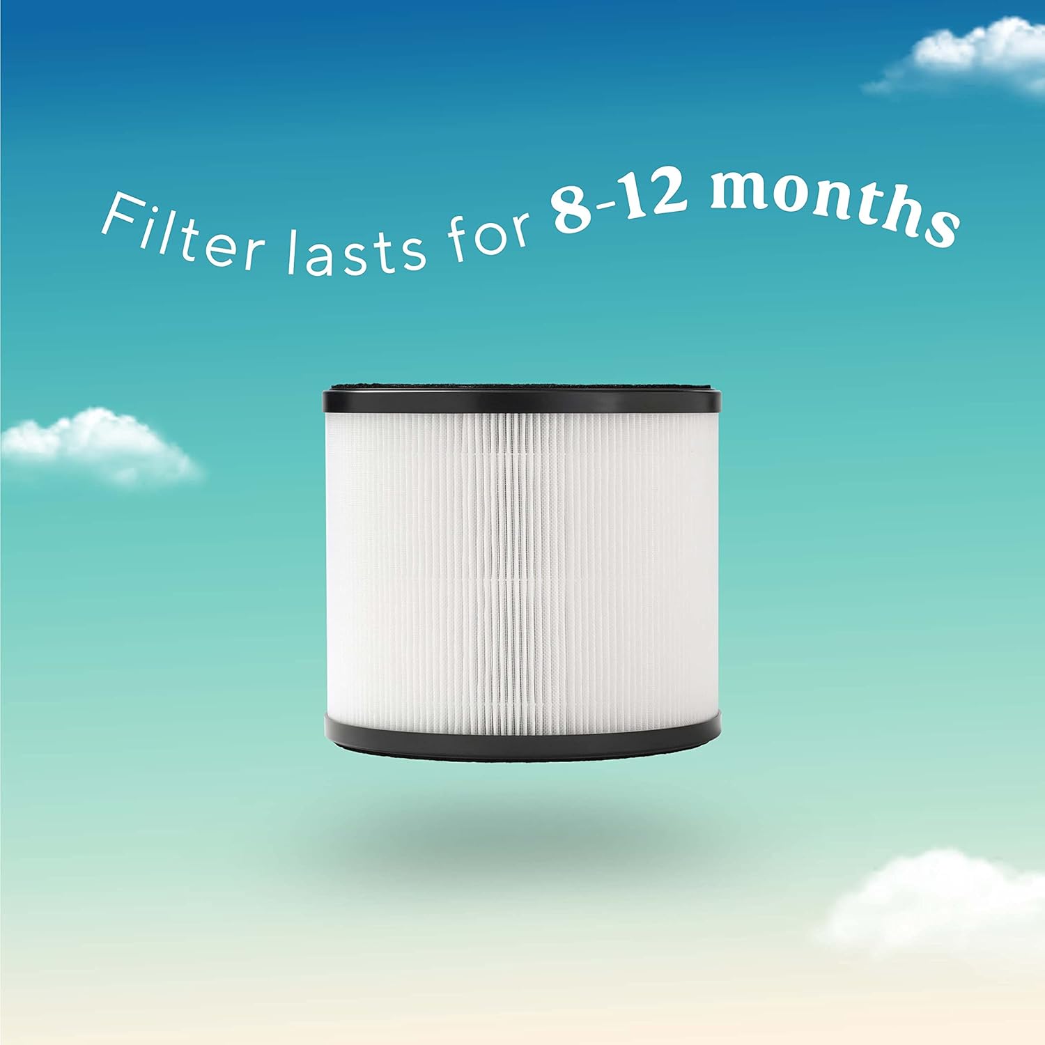 Image indicating filter lasts for 8-12 months