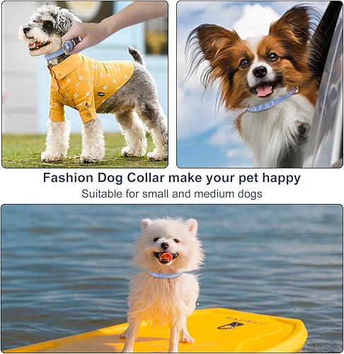 Miniatura 7 de LOVPE Collar para perro de cuero brillante con diamantes de imitación tachonados, accesorio glamoroso de hebilla dorada para perros pequeños a