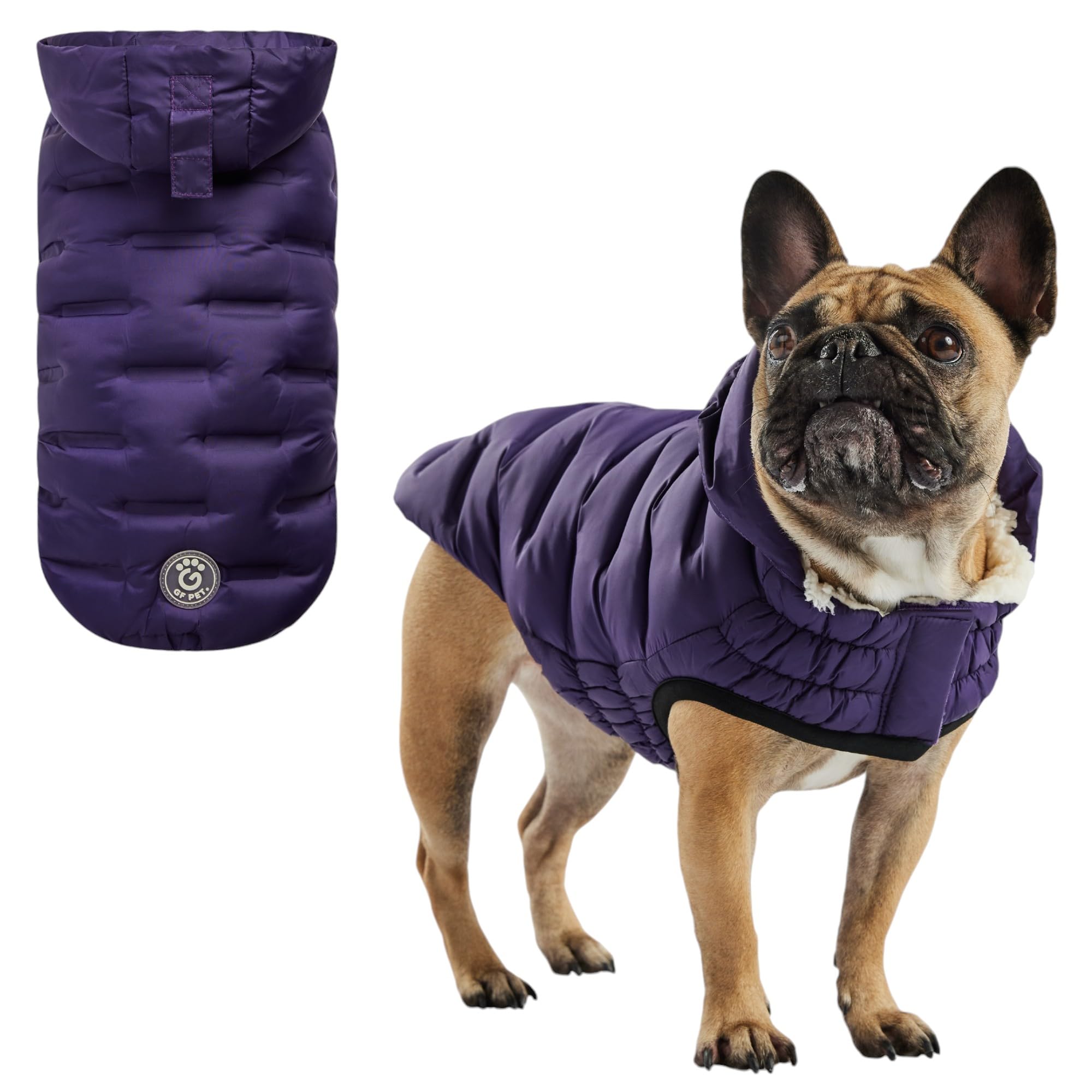 Cloud Dog Parka | Purple XL