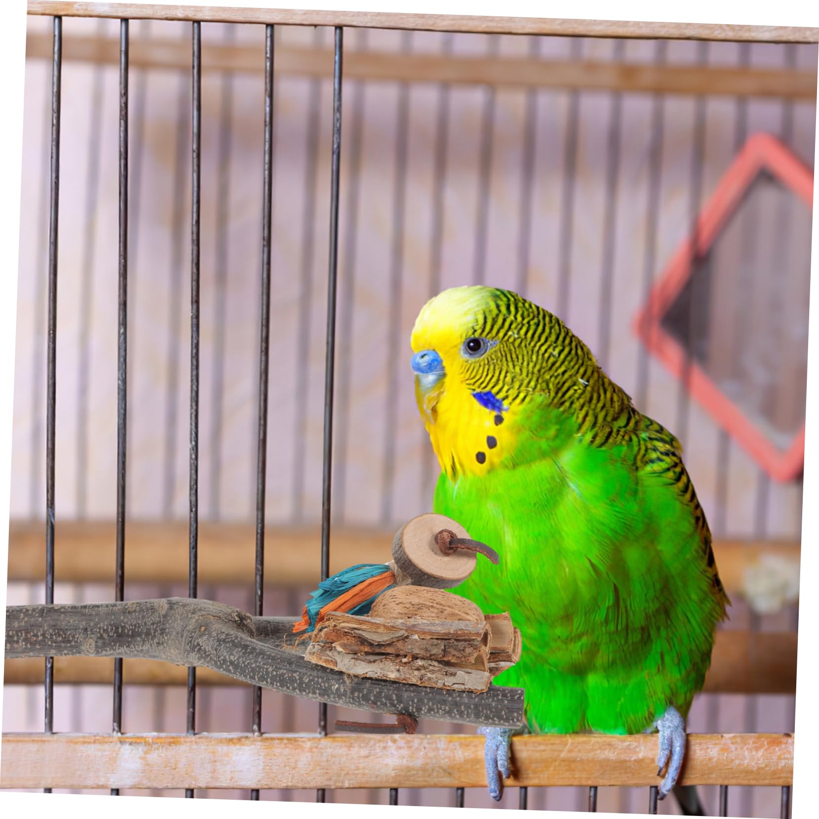 minkissy 4pièces Perchoir pour Oiseaux avec Plateforme Support Naturel pour Perroquets Perruches Et Oiseaux De Compagnie Facile à Installer Et