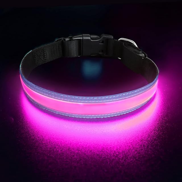 PetIsay Ultimate LED Dog Collar - USB Rechargeable & Water Resistant - Reflective Light up Dog Collar Flashing Light - Adding Safety to Night-time Walks - 3 Colours, 3 Sizes(Cotton Candy Pink, Medium)
