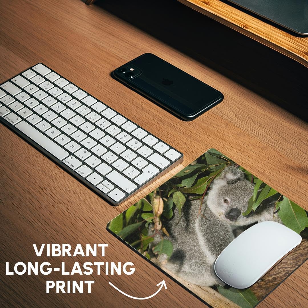 3dRose Australia, Brisbane, Fig Tree Pocket, Koala Bears-AU01 WBI0119 - Mouse Pad, 8 by 8 inches (mp_70224_1)