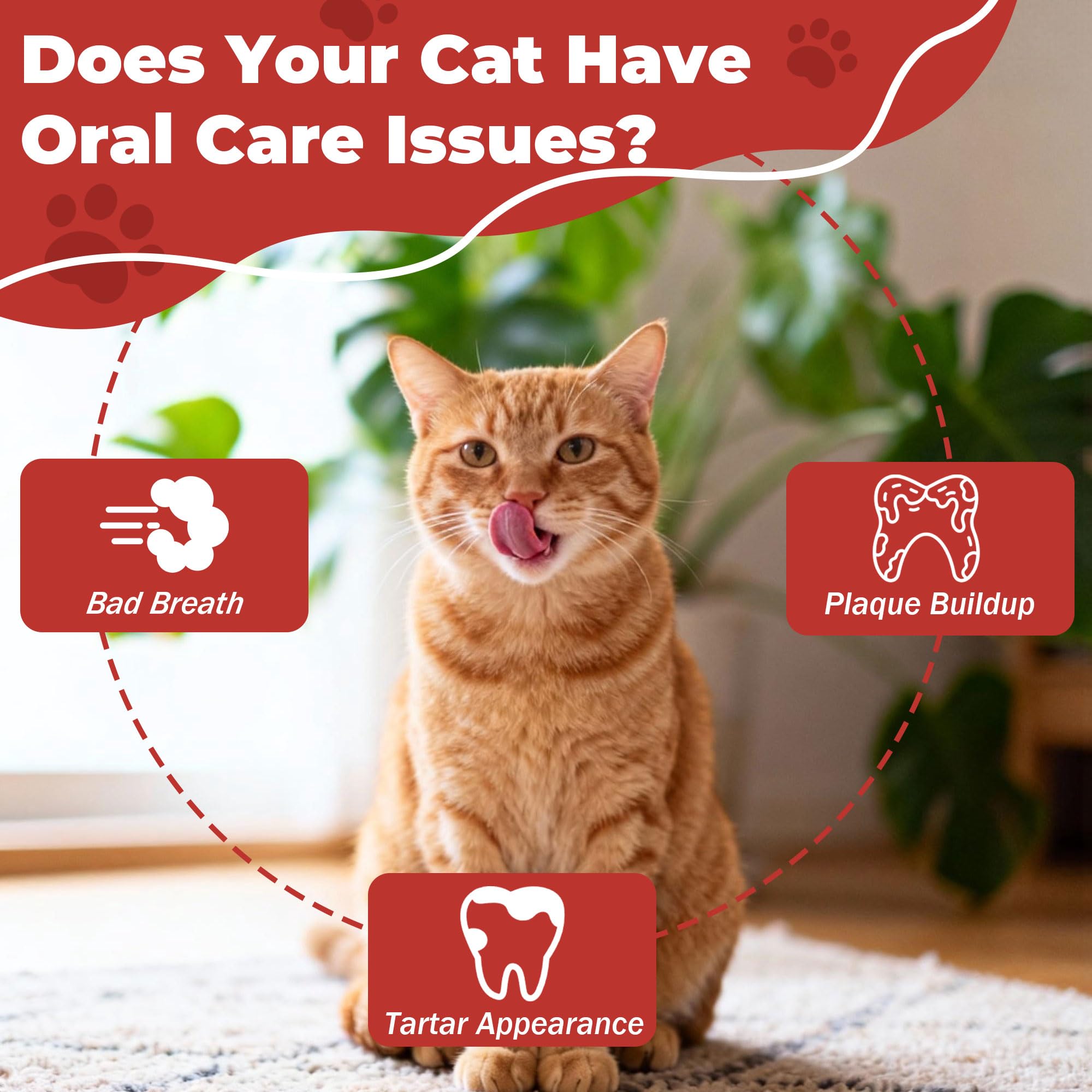 Cat Dental Care & Cat Teeth Cleaning Gel Treat for Cats – Dental Care for Cats, Cat Oral Care to Freshen Cat Breath, Help Reduce Plaque Buildup, Cats Bad Breath Support with Papain, MCC - image 6