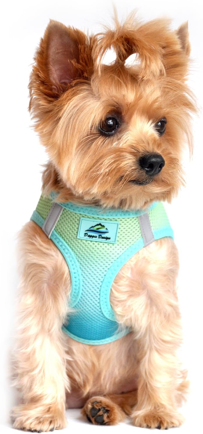American River Dog Harness Ombre Collection - Aruba Blue, XXXL