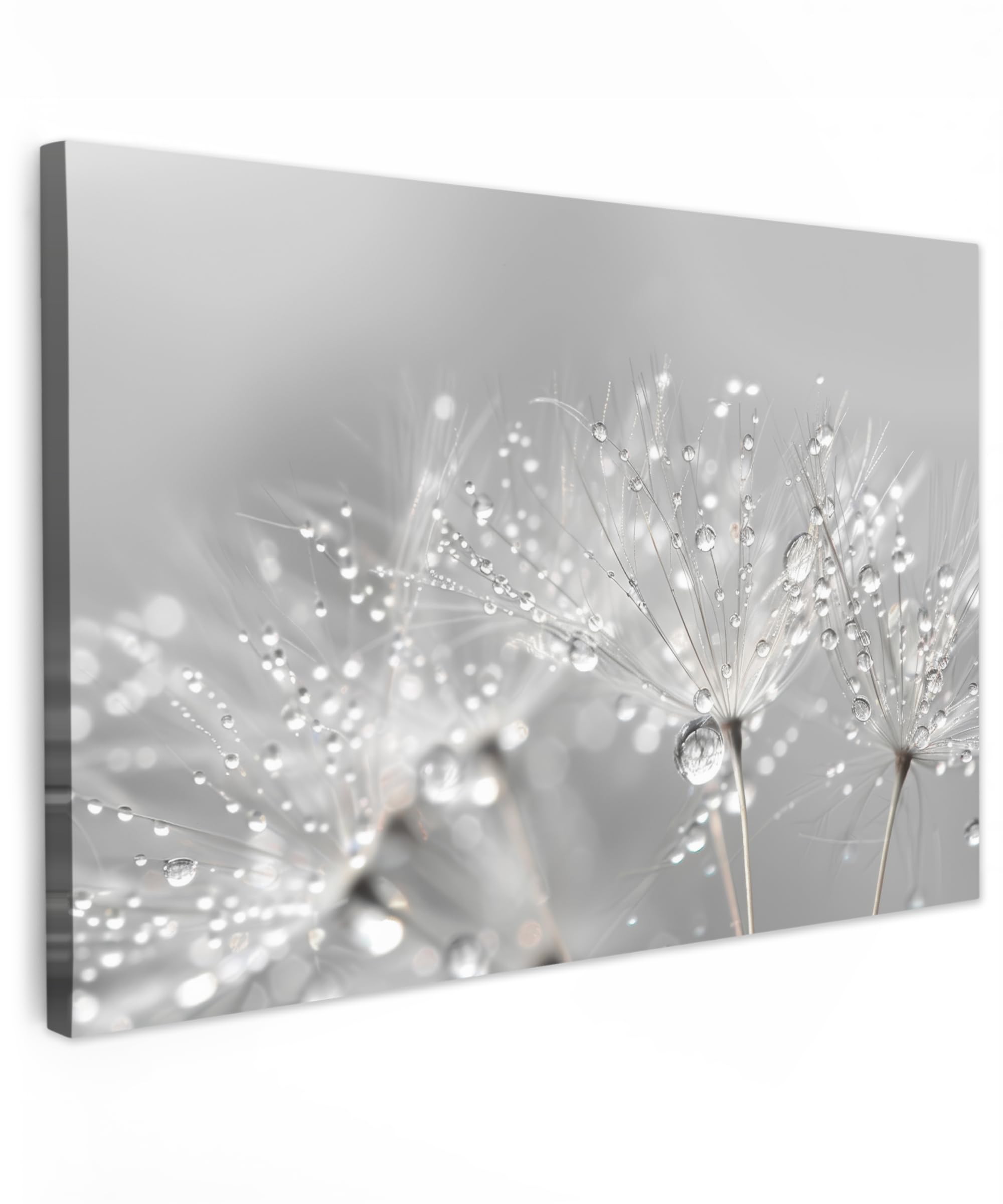 MuchoWow© Canvas Wall Art 24"x16" / 60x40 cm Decor Prints for Living Room Decorative Canvases Hall Artwork Dandelion - Water drops - Still life - Modern — image 1