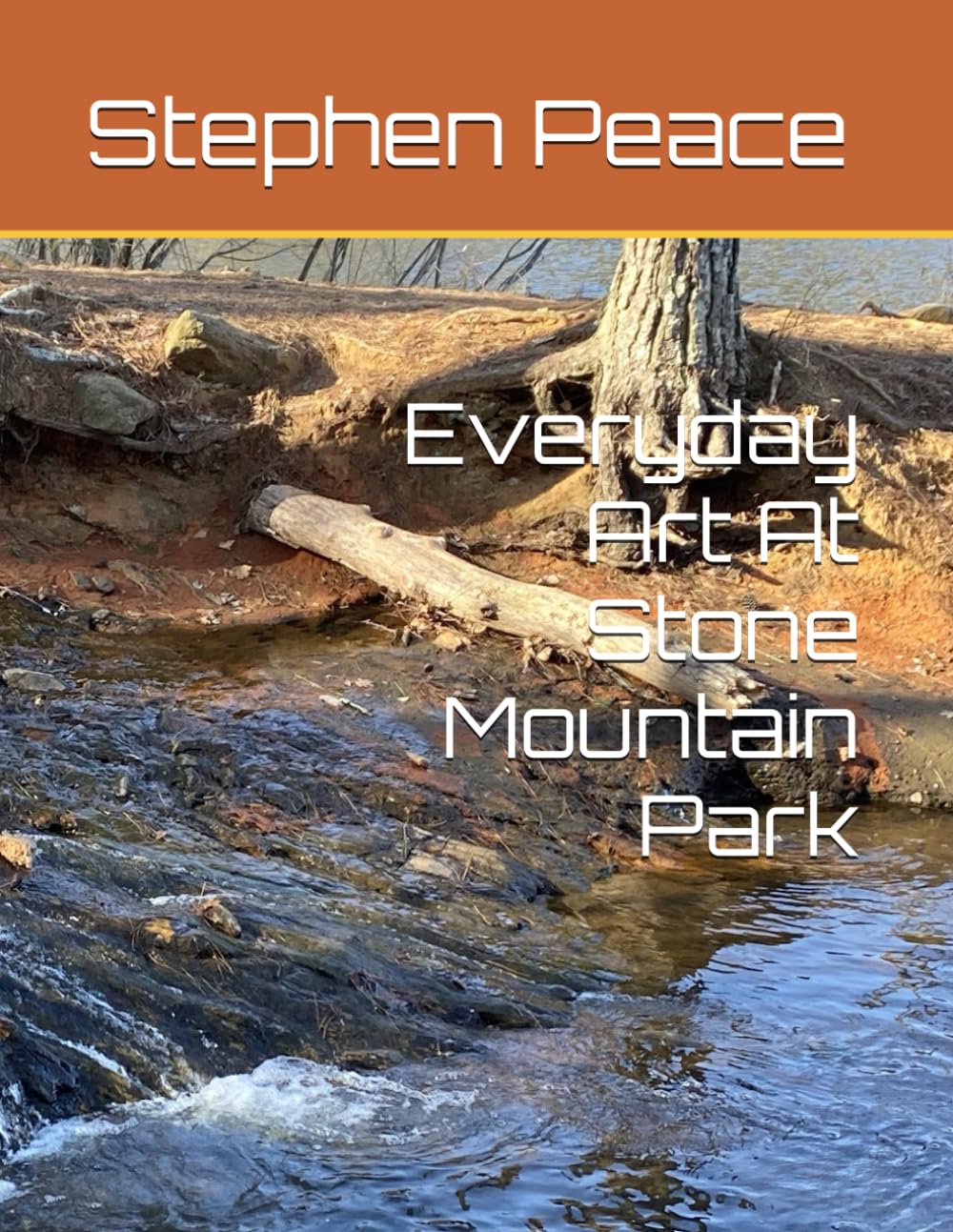 Everyday Art At Stone Mountain Park