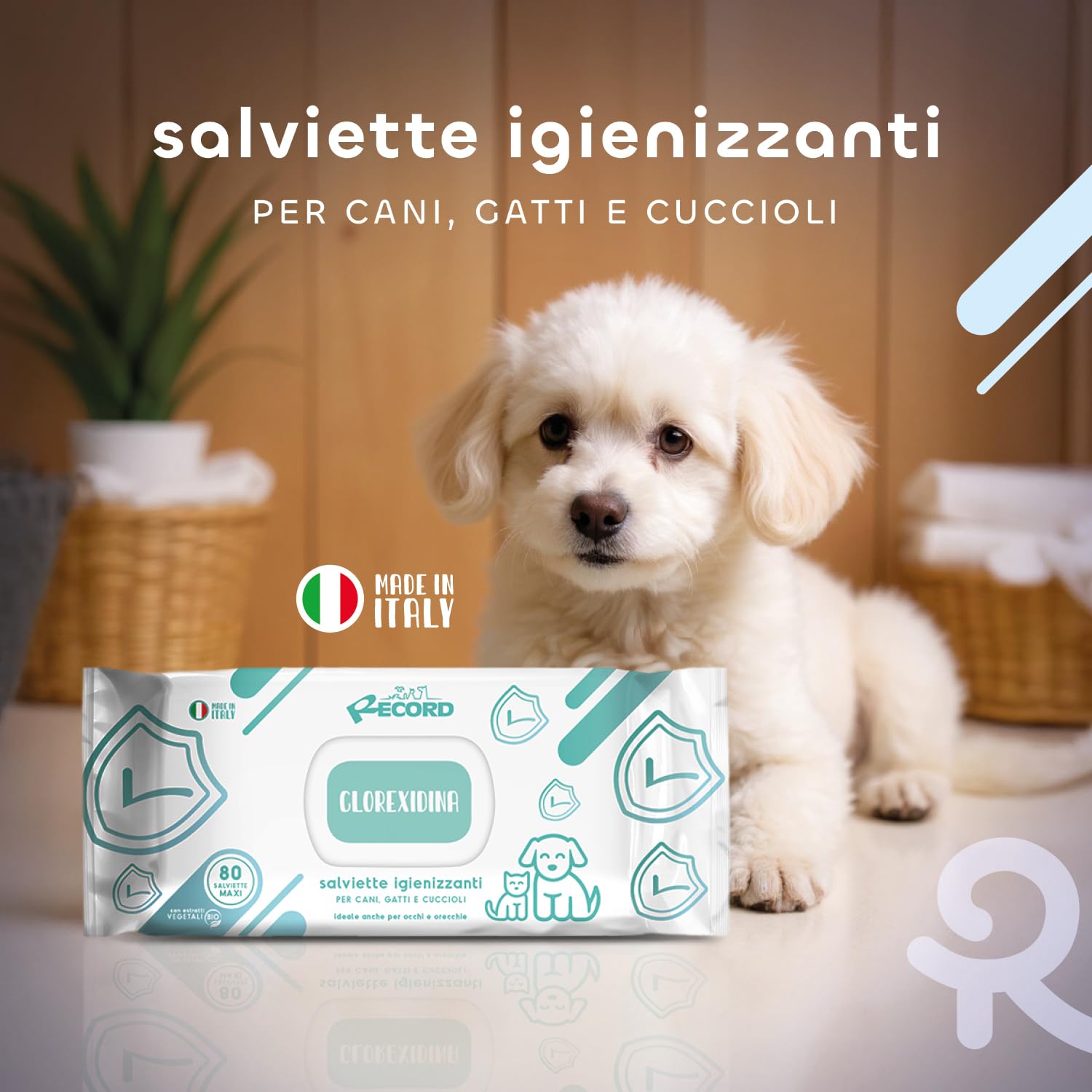 Record salviette igienizzanti umide per Cani e Gatti. Salviette Cane salviette Gatto. Confezione 40 Pezzi. Salviettine per Animali per Pelo Zampe Muso ed Occhi. Rispettano Cute e PH Aroma Clorexidina