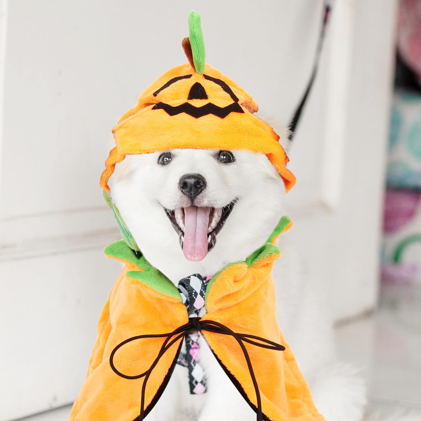 BESPORTBLE 2sets Costumi Per Animali Domestici Mantello e Cappello Tema Halloween Per Cani e Gatti Accessori Divertenti Per Feste Di Halloween Adatto Tutte Le Taglie