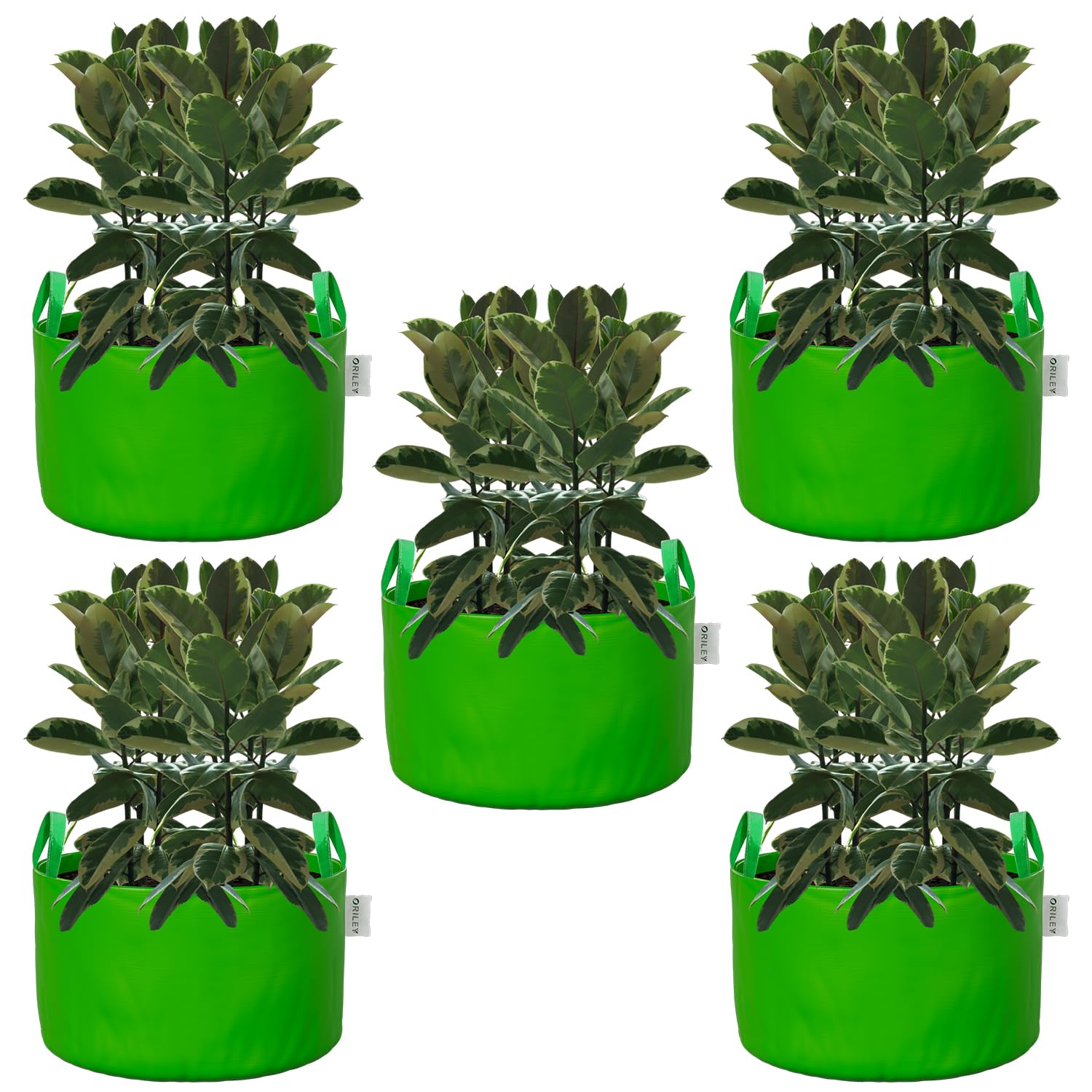 Oriley Grow Bag Heavy Duty HDPE Plants Flower Growing Bags Floor Standing Mount Type for Home Garden Balcony Terrace Kitchen Nursery (Green, Round with Handle, 450 GSM 24 x 24 inch Pack of 5) (B0BX9XXR1J) Amazon Price History, Amazon Price Tracker
