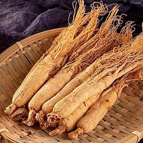 Miniatura 3 de Ginseng entero orgánico orgánico natural puro Ginseng blanco de montaña Ginseng seco Ginseng secado al sol, 20-26 raíces/17.64 oz, 17.64 oz/caja.