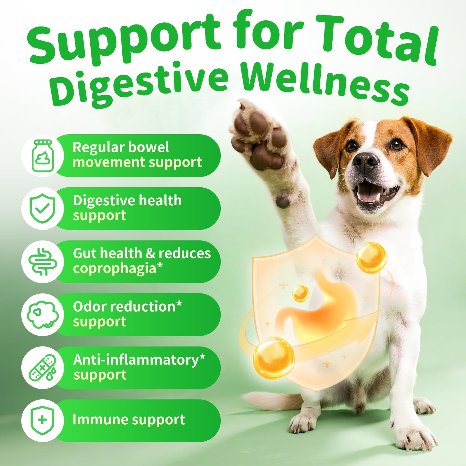 POPPAW Dog Probiotics & Digestive Enzymes – Pumpkin Fiber Chews for Gut Health, Diarrhea & Upset Stomach Relief, Gas & Stool Support, Beef Flavor Soft Chews – 90 Count - image 2
