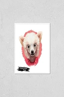 Wall Art Poster Print of Chinese Crested Puppy Dog Breed Puff Animal Originated in China. Canine Pet Without Fur Hairless Animal with Beard on Muzzle. Powderpuff Isolated on White Background Digital