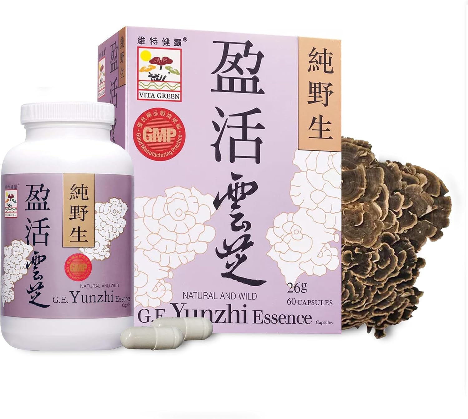 Vita Green Turkey Tail Mushroom – Yunzhi Essence for Recovery and Wellness – Immune and Digestive Support with Antioxidants – High Beta-Glucan Extracts for Health and Comfort (60 Capsules)