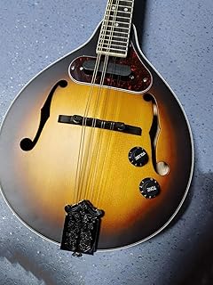 Mandolina Musical Instrumentos Musicales Como La Mandolina Negra De 8 Cuerdas Sunset Color