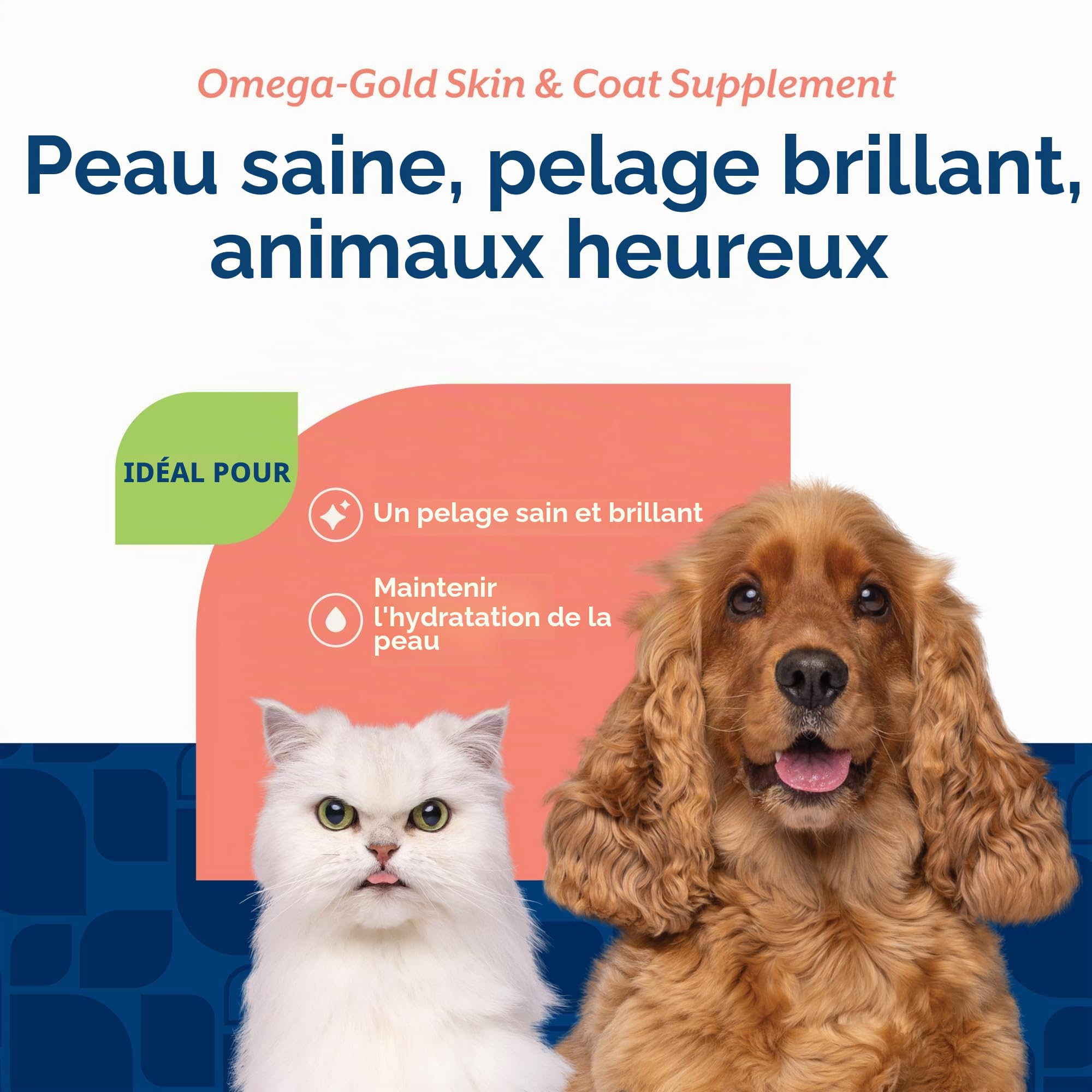 Omega Gold Complément alimentaire peau et pelage pour chiens – Huile de saumon avec acides gras oméga-3 et oméga-6, DHA et EPA pour une peau saine, un pelage brillant, une santé des articulations et