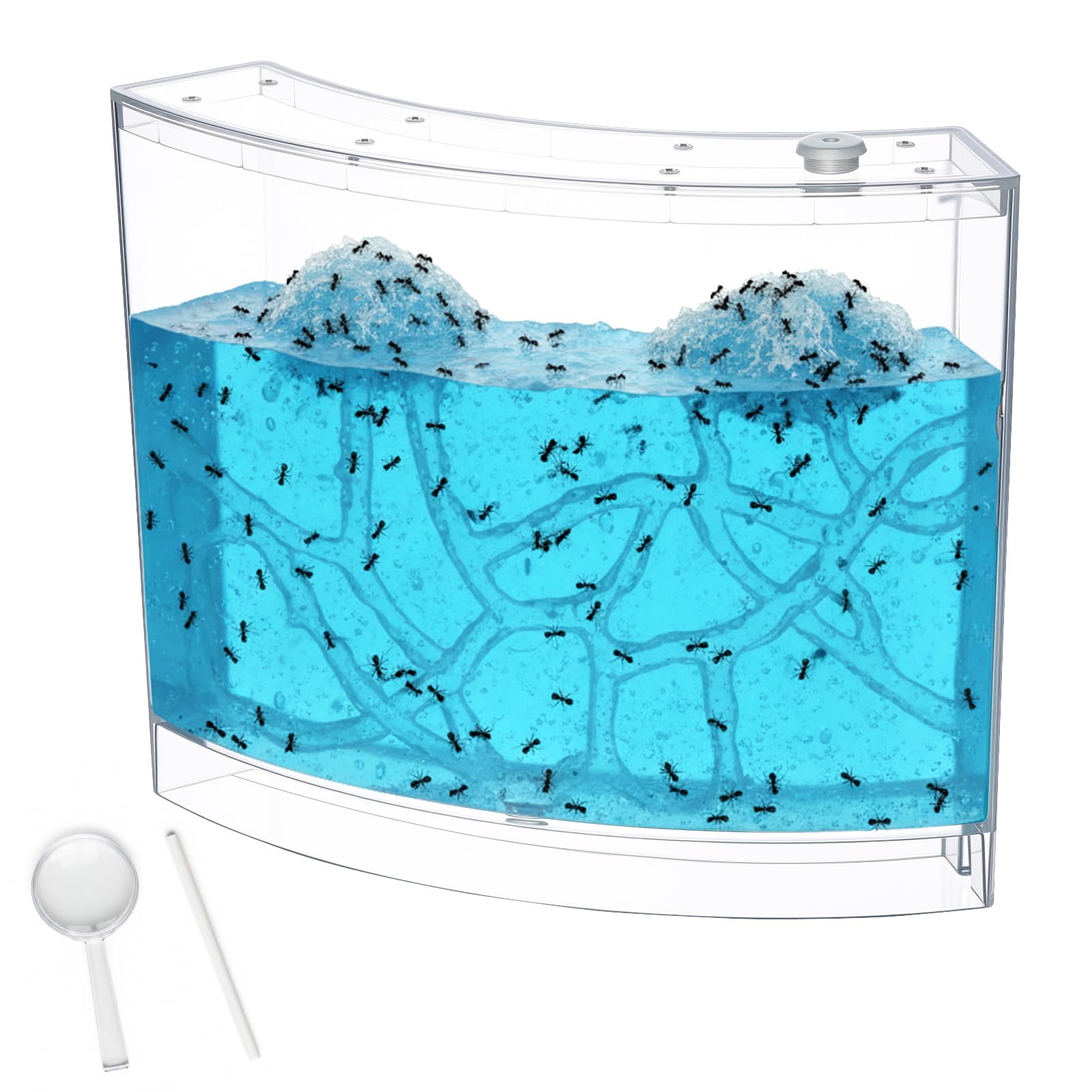 Amazon.com: Acellegic Ant Farm Terrarium Kit Giant Ant Farm Large