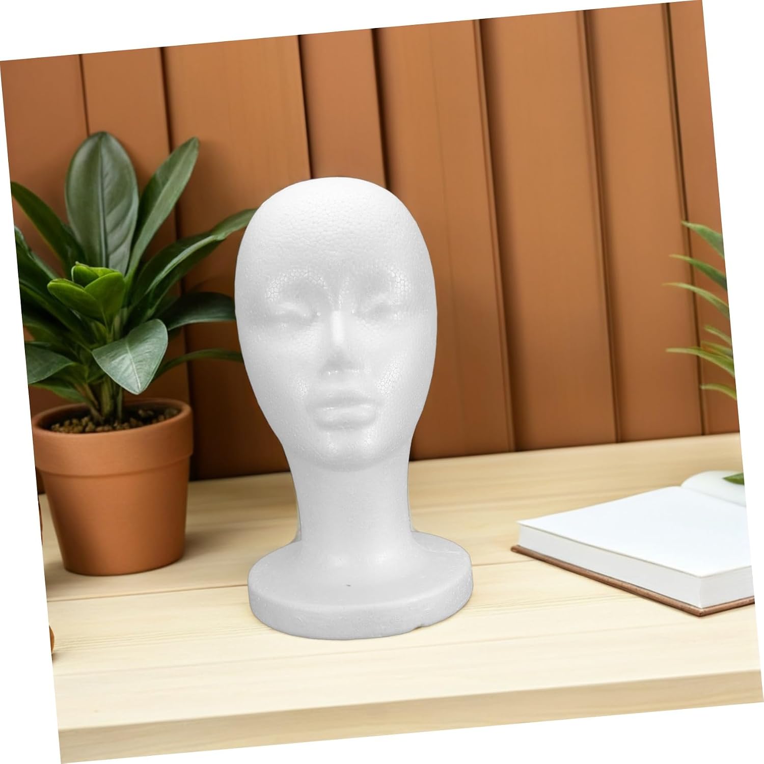 2pcs Female Mannequin Head Stand Foam Wig Display Hat Holder Model for Retail Store Salon Hair Accessories Organizer