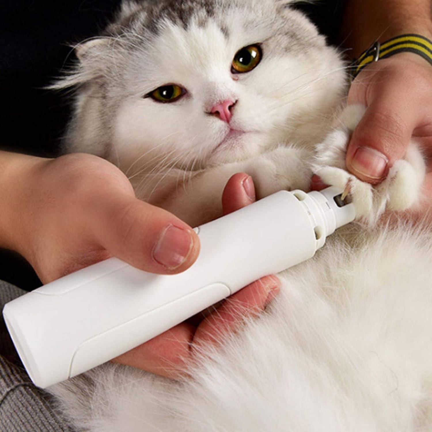 ネイルクリッパー ペットネイルクリッパー 猫用犬用有料耐久性usbフェレット小型ペット メーカー再生品