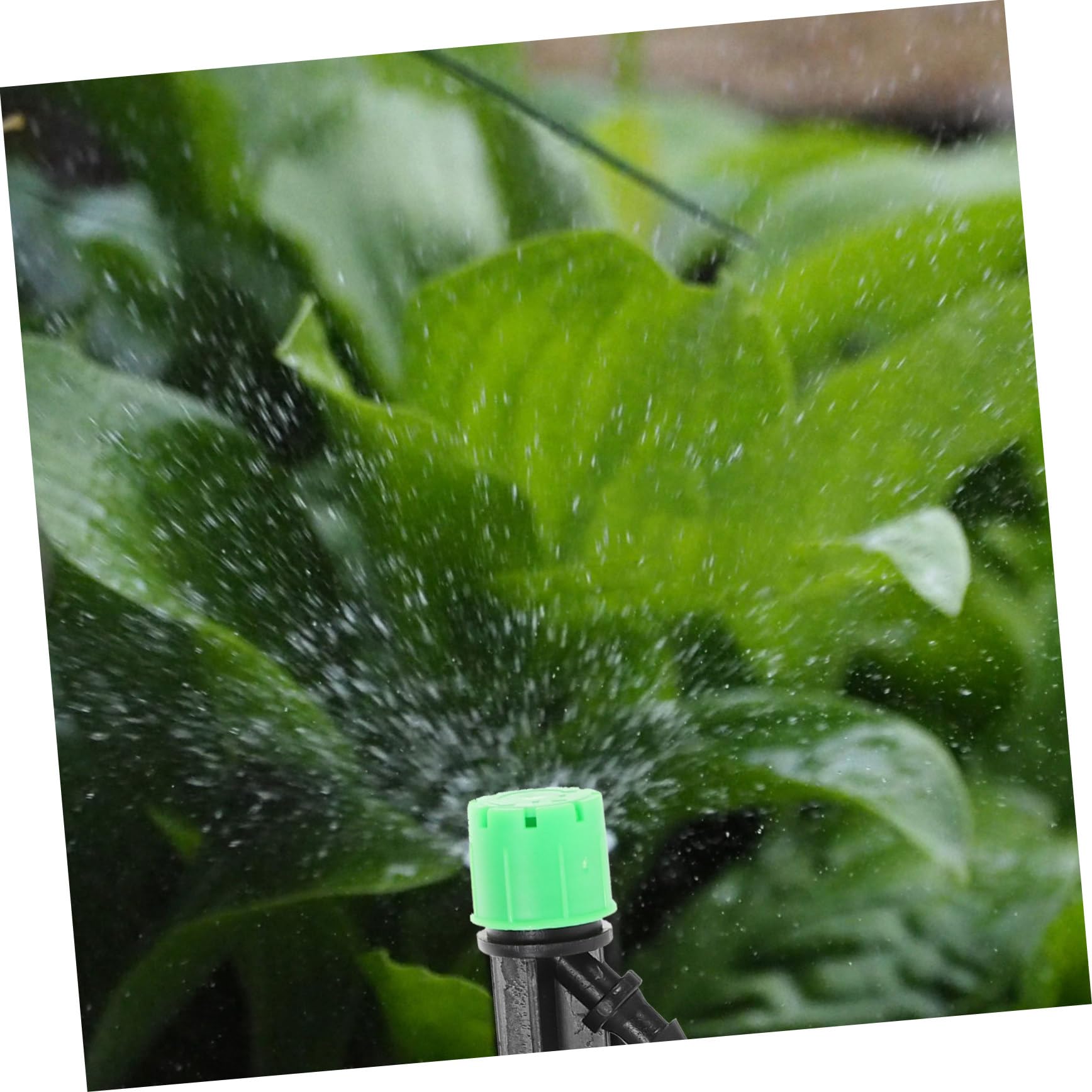 POPETPOP 4 Ensembles Goutteur D'irrigation Arroseur À Remplacement De La Tête D'arrosage Pomme De Pomme D'arrosage Goutteurs Pièces D'irrigation De Jardin 50 Pièces * 4