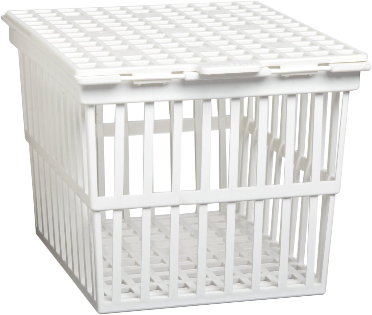 PSC 2003600 White Polypropylene Autoclaving Basket with Lid, 15 cm x 12 cm x 11 cm
