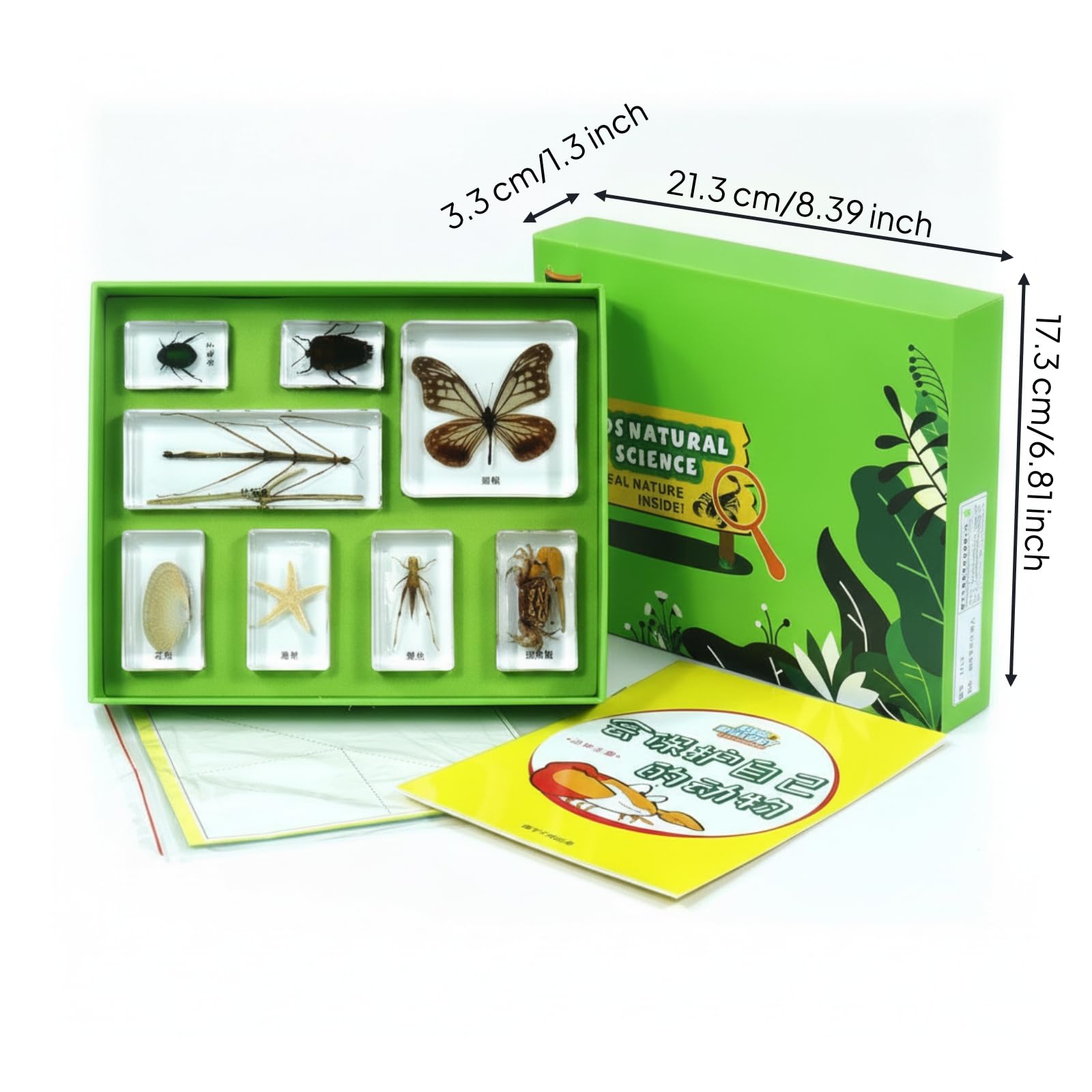 MotiveTech Natur-Sammelkasten mit Lernkarten lehrreich Insekten-Präparate in Kunstharz pädagogisch Insekten in Harz für Kinder, Heimunterricht, Array, color to 5