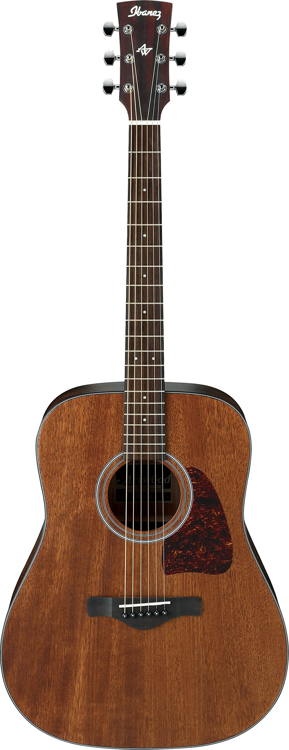 Ibanez Artwood Dreadnought Acoustic Guitar, Open Pore Natural