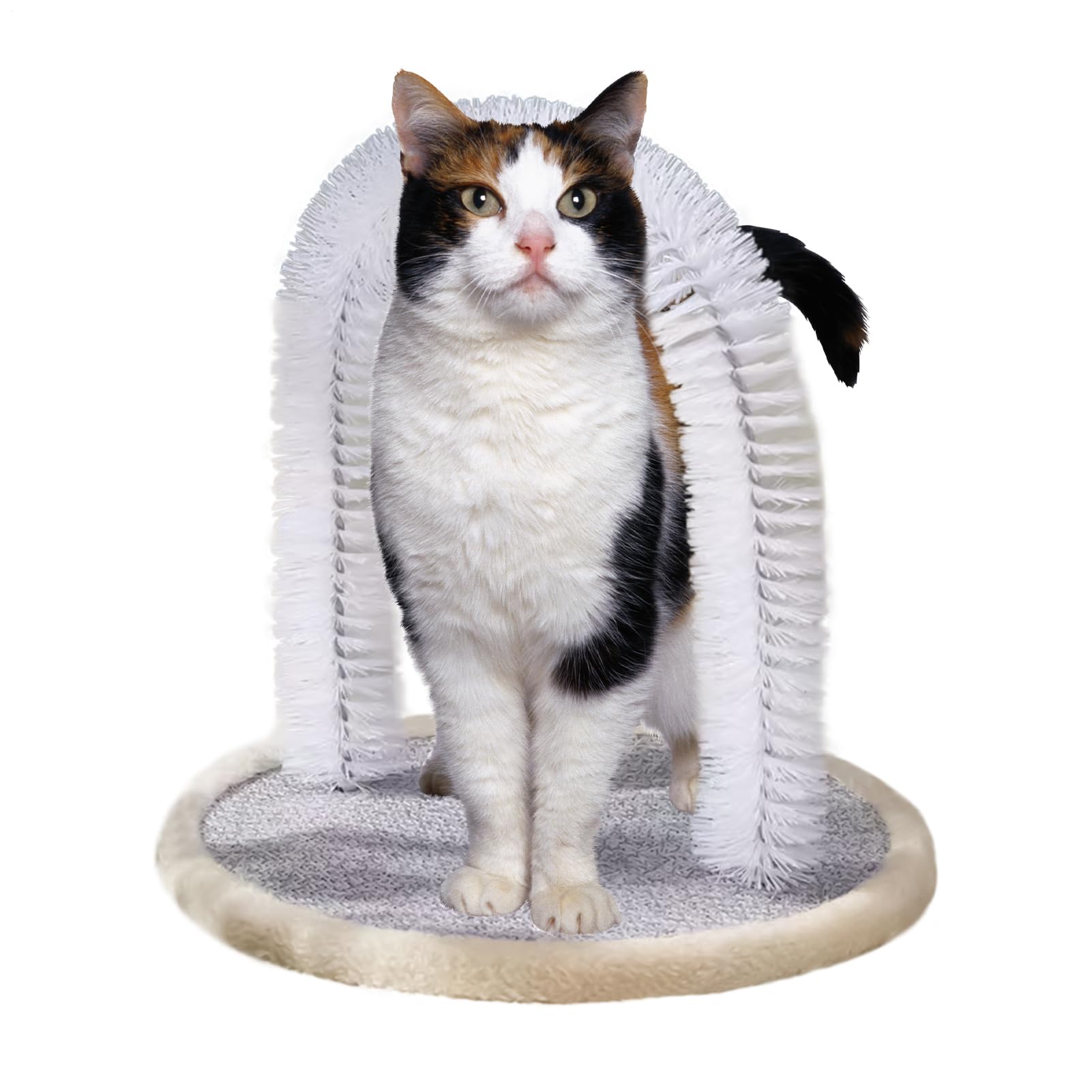 Brosse de grattage pour chat Moyen-Grand Anti-Usure | Arche auto-toiletteur pour chat Accessoire Jouet Intérieur Interactif Anti-Morsure Pour Chaton