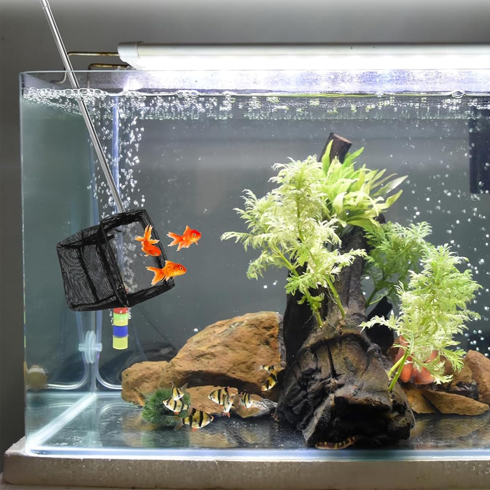 View 6