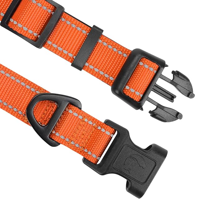 Foto 3 de 7 de Joytale Collar Perro Reflectante,Nylon Collar Acolchado con Neopreno,Ajustable para Perros…