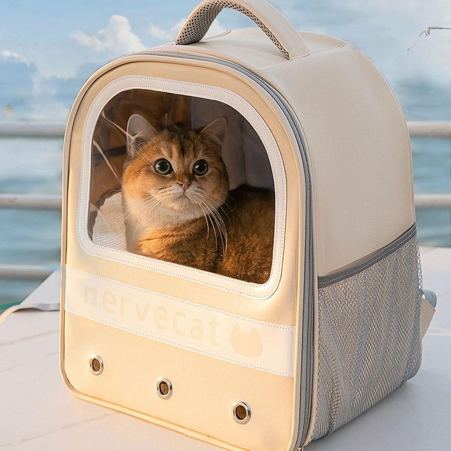 MINGZHE Cat Backpack Carrier Pet Carrier Backpack Cat Backpack Traveler Bubble Backpack Pet Carriers Multipurpose Large Capacity Transparent Ventilated Portable Pet Bubble Travel Bag for Cats Pets