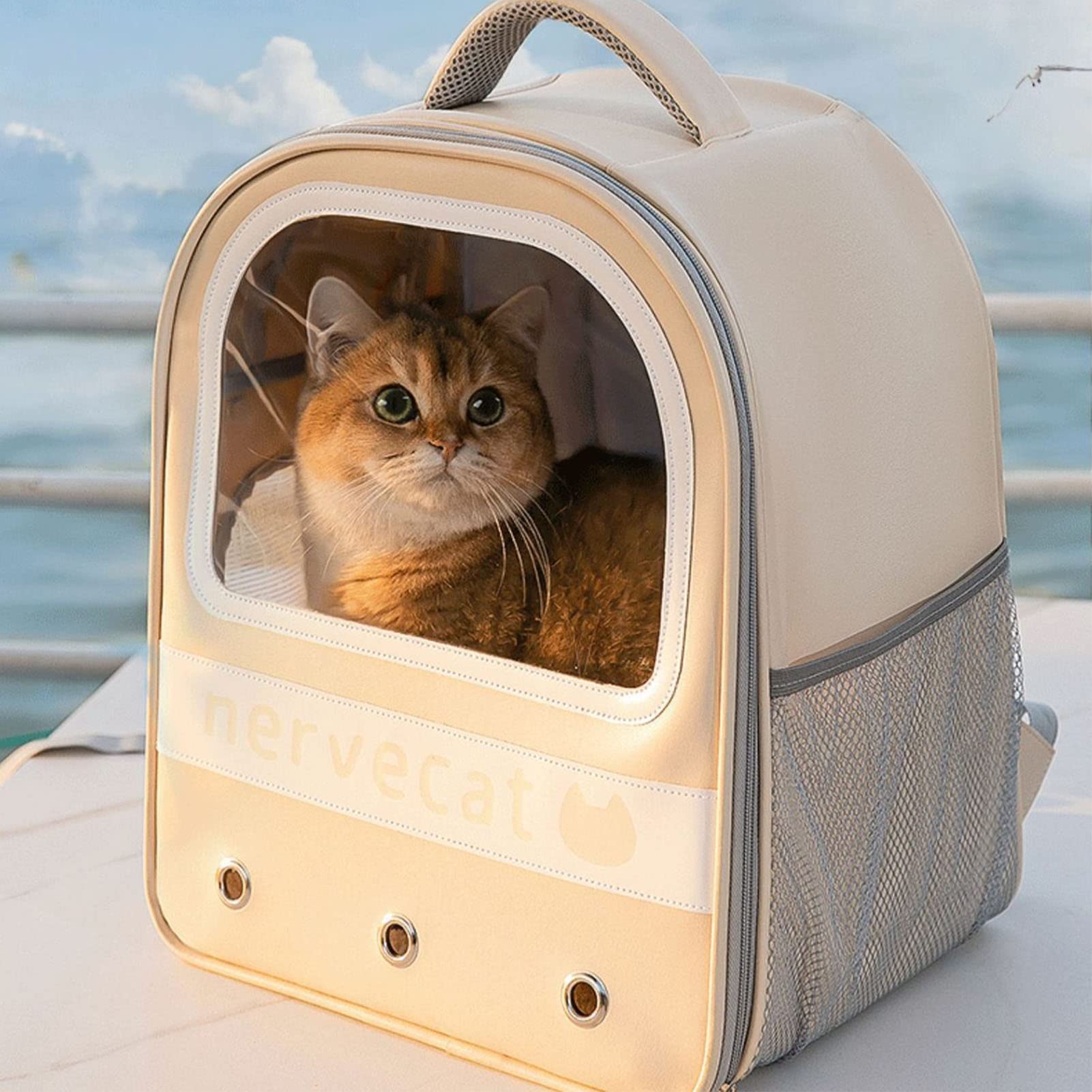 Katzen-Rucksack-Träger, Haustier-Blasen-Reisetasche mit transparentem Fenster und Belüftungsnetz, großer, tragbarer Katzen-Tragetaschen-Rucksack für Outdoor-Wandern und Camping