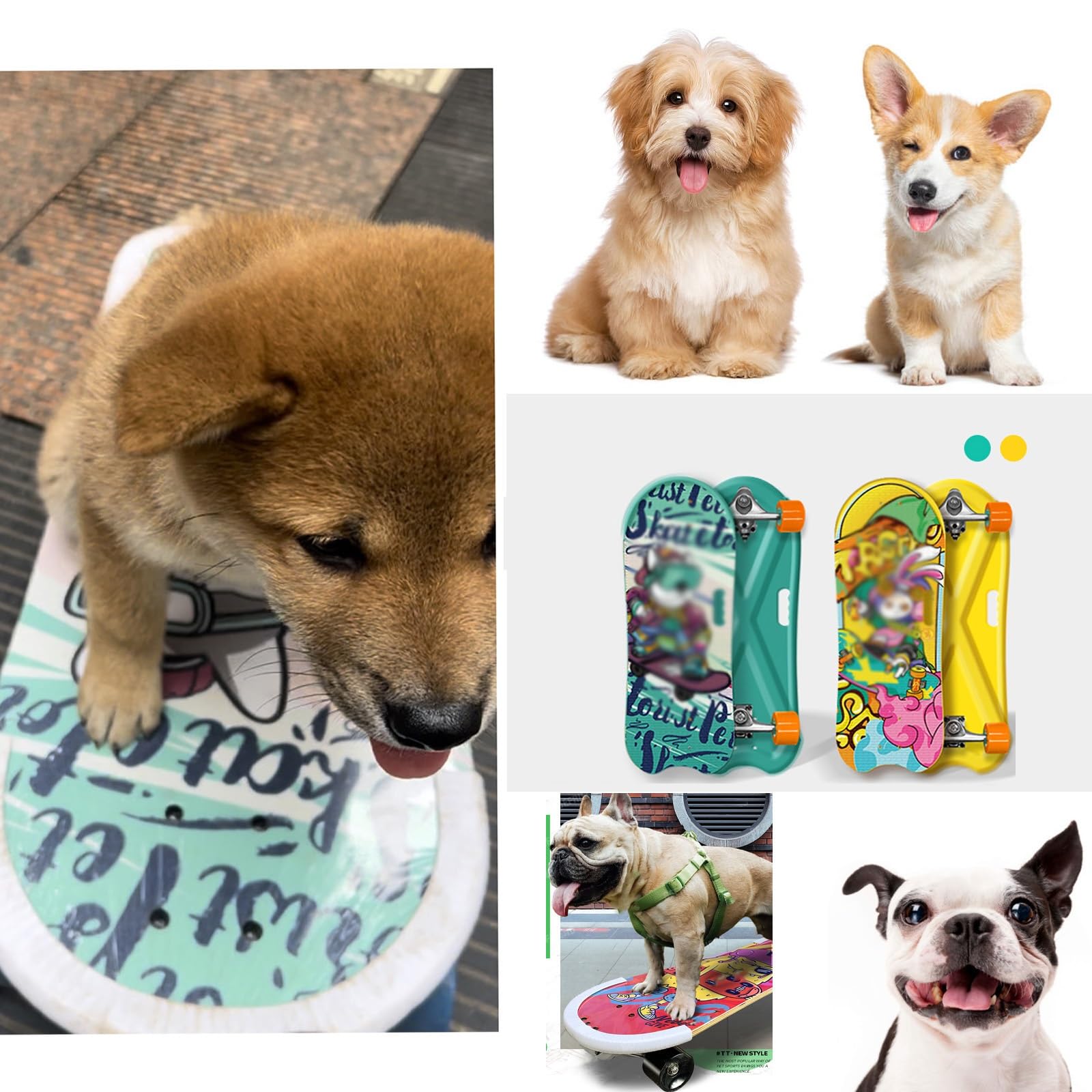 Amazon.co.jp: 犬用スケートボード、スケートボード、猫用